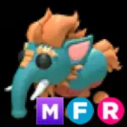 Baku MFR