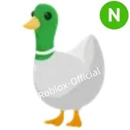 Silly Duck N