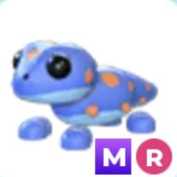 MR Gecko Adm