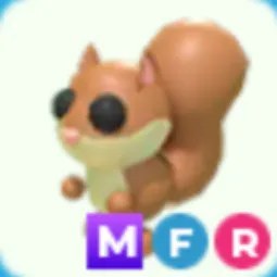 MFR Red Squirrel