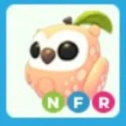 Peach Owl NFR