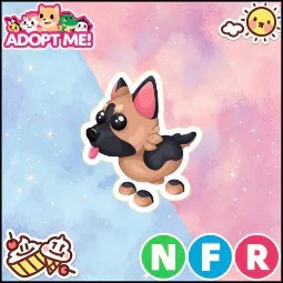 NFR German Shepherd