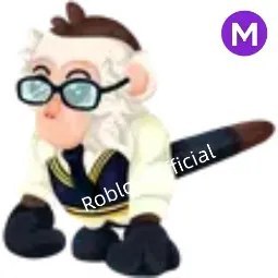 Preppy Capuchin Monkey M