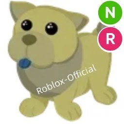Golden Chow NR