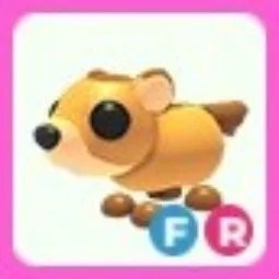 FR Groundhog