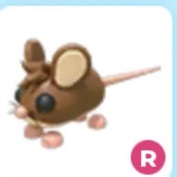 R Field Mouse Adm