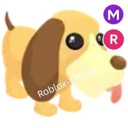 Bloodhound MR