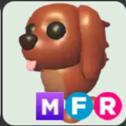 Irish Setter MFR