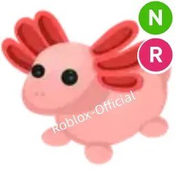 NR Axolotl