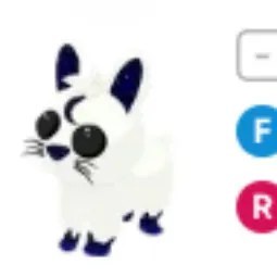 Moon Rabbit FR