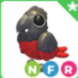 NFR Dracula Parrot