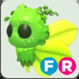 Gaelic Fae FR