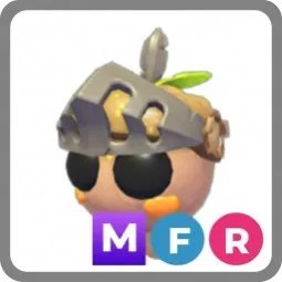 MFR Oakee Knight