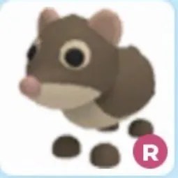 R Shrew Adm