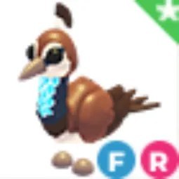 FR Peahen