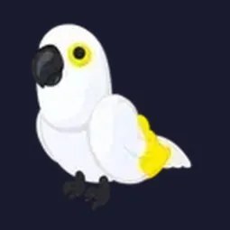 Neon White Amazon
