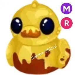 Dirty Ducky MR