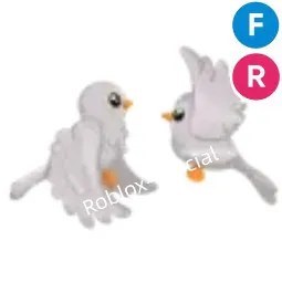 Turtle Doves FR
