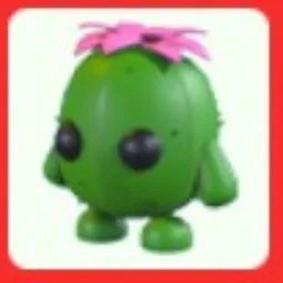 Cactus Friend No Pot