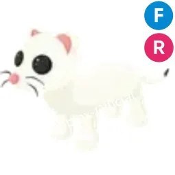 Ermine FR