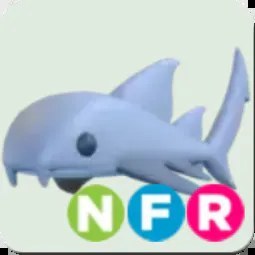 Nurse Shark NFR
