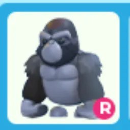 R Silverback Gorilla