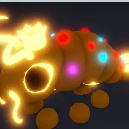 Neon Priceless Shrimp