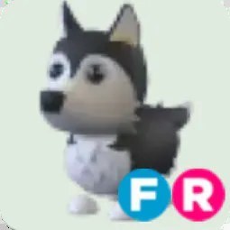 Husky FR