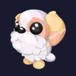 MFR Shih Tzu