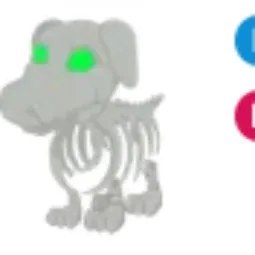 Halloween White Skeleton Dog FR