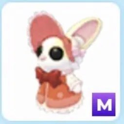 M Mrs Whiskerpips Adm