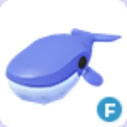 Blue Whale F