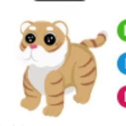 Lunar Gold Tiger NFR