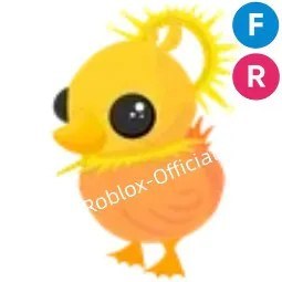 Sunrise Duckling FR