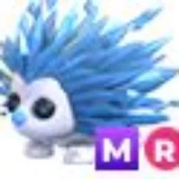 Icy Porcupine MR