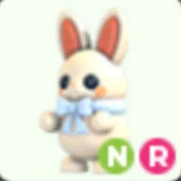 NR White Choccybunny Neon