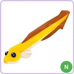 N Eel