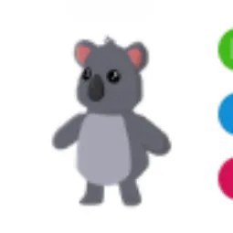 NFR Koala