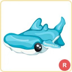 R Hammerhead Shark