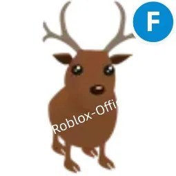 Reindeer F