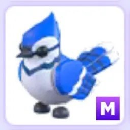 Blue Jay Mega Neon