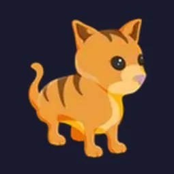 FR Ginger Cat