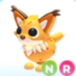 Onza NR