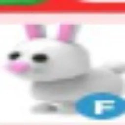 Bunny FR