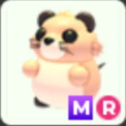 MR Muskrat