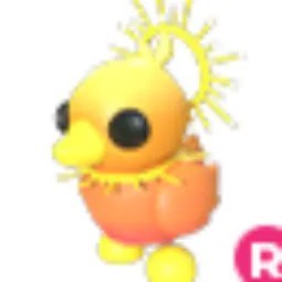 Sunrise Duckling R