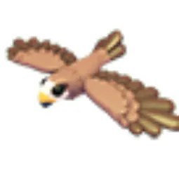 Black Kite