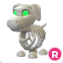 Halloween White Skeleton Dog R