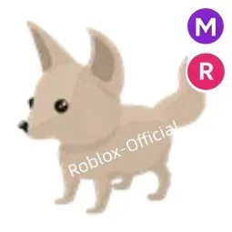 Fennec Fox MR