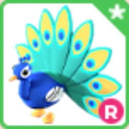 R Peacock
